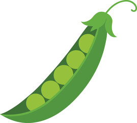Green Pea Pod Vector Illustration with Leaf and Open Peas