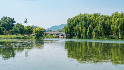Fototapeta premium lake in the forest