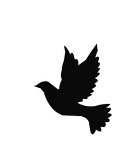 silhouette of a dove white and black