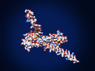 Survivin dimer, tumor marker and potential target in cancer therapy.