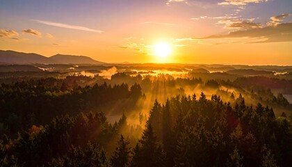 Obraz premium Golden sunrise illuminates a misty forest landscape, showcasing a tranquil and serene mountain vista.