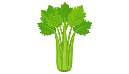 A vibrant bunch of celery stalks, displayed against a simple white background, exhibits detailed leaf and stem structures.