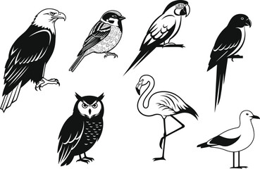 Bird silhouette vector illustration, eagle, owl, parrot, flamingo, sparrow, seagull, black and white graphic birds, wildlife icon, animal design, perched pose