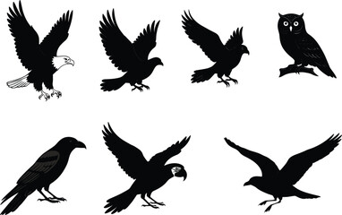 Bird silhouette vector set, flying eagle, perched owl, raven, crow, black shapes, wildlife clipart, editable icons, isolated birds, stock illustration