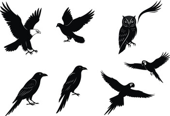 Bird silhouettes vector set, flying eagle, perched owl, crow, raven, parrot, pigeon, black shapes, wildlife clipart, isolated icons, editable