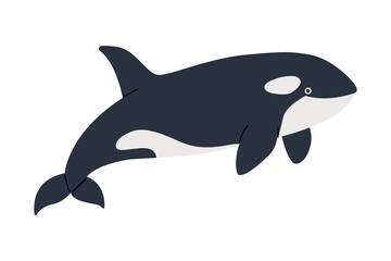 Obraz premium Playful kawaii killer whale orca illustration isolated on white background for ocean wildlife themes marine design projects and educational materials