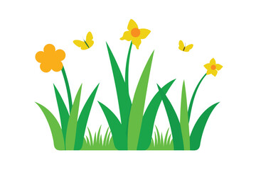 Obraz premium Green Grass with Daffodils and Butterflies on White