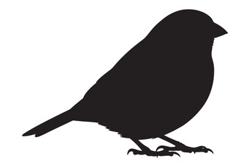 Obraz premium A silhouette of a bird isolated on white background, perched gracefully with its sleek body and delicate legs in a simple yet elegant black design vector illustration