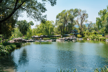 Chinese garden in summer