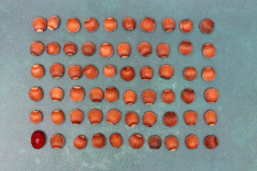 Hazelnuts in a row. Macro shot of hazelnuts on textured background, shallow depth of field