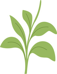 Naklejka premium green plant isolated on white