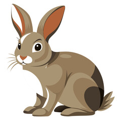 vector illustration of a rabbit