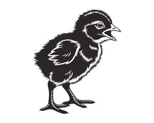 Fototapeta premium A detailed silhouette of a baby chick, presented in a classic, graphic style
