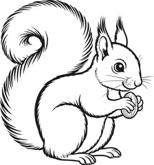 squirrel with nut