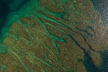 Top-Down Aerial View of Coral Reef at Low Tide in Yomitan (読谷), Okinawa, Japan