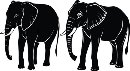 Fototapeta premium Elegant Elephant Silhouettes