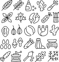 Hand drawn spices and herbs icons set, doodle style vegetables and cooking ingredients, organic food illustration, kitchen seasoning, ginger, chili, leaves, seeds, natural sketch symbols