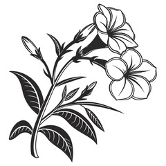 Elegant Black and White Floral Botanical Illustration 1.