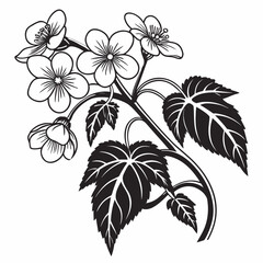 Black and white illustration of a flowering branch with detailed leaves