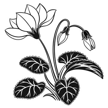 Stylized Cyclamen Plant Black and White Illustration.