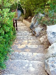The stairs leading down are made of stone. Concrete pathway through lush greenery outdoors.