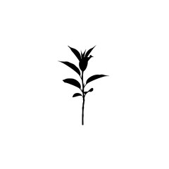 Fototapeta premium Minimalist Flower Silhouette