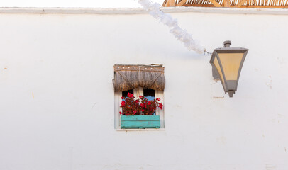 Conil de la Frontera, Cadiz, Andalusia, Spain. 6 September 2025. Window with flowers on white wall © Ulysses