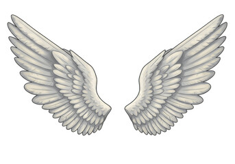 Illustration Of White Feathered Wings Isolated On A Transparent Background