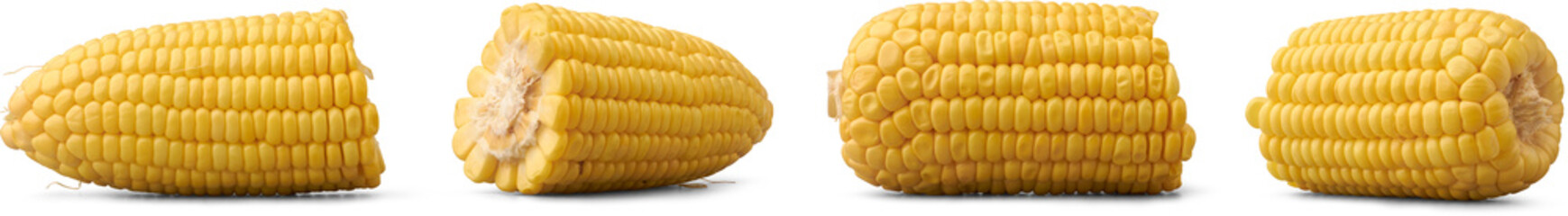 set of piece of corn on the cob showing cut cross-section with yellow kernels and white cob isolated white background, healthy vegetable ingredient for cooking in different angles