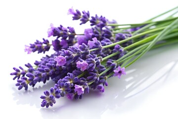 Beautiful bouquet of lavender flowers serene purple blooms delicate fragrance natural beauty on a soft yellow surface