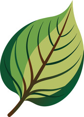 Leaf icon
