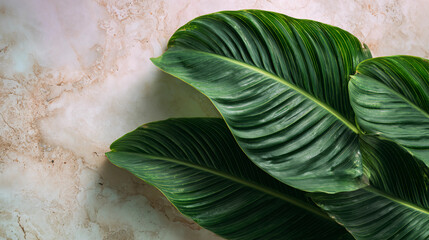 Botanical harmony lush green tropical leaves overlapping