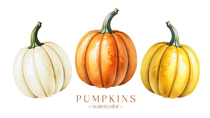 Watercolor Pumpkins Collection for Autumn Decorations