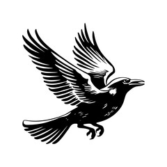 Naklejka premium Flying Crow Black and White Illustration