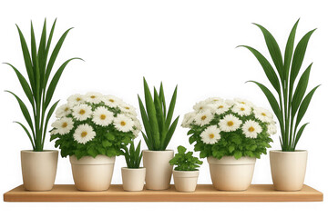 Obraz premium Beautiful arrangement of various potted plants and flowers for home decor transparent background