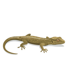 Naklejka premium Cartoon Gecko with Brown Spotted Skin and Large Eye.