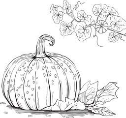 Halloween Hand Drawn Pumpkin