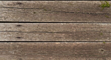 Weathered wooden planks arranged horizontally some with nails cracks and moss