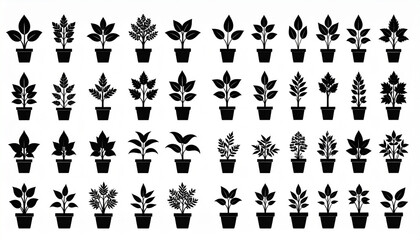 Naklejka premium Potted Plant Silhouette Collection