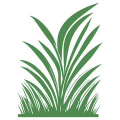 grass garden illustration green