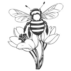 Bee on flower spring illustration grey