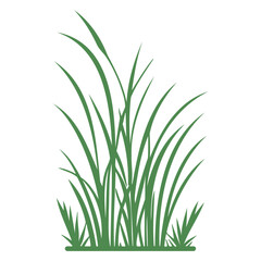 Naklejka premium grass garden illustration green