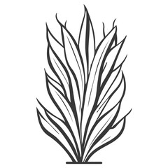 aloe flower illustration grey