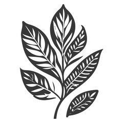 leaf nature illustration grey