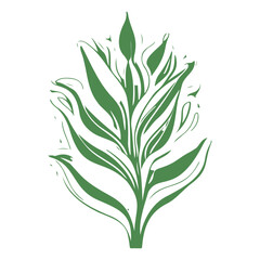 aloe flower illustration green