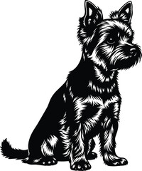 Black and white illustration of Yorkshire Terrier dog, small breed pet sitting upright, detailed fur texture, animal portrait concept, vector art, realistic style