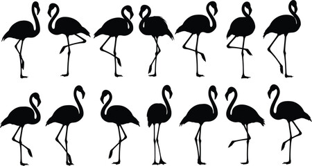 Black silhouette illustration of twelve flamingos in different poses, standing and walking, tropical bird collection concept, vector art, flat design, minimal style