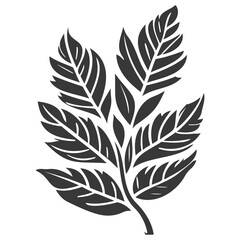 leaf nature illustration grey