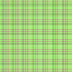 Gingham check plaid pattern for autumn, summer, spring. Seamless colorful herringbone textured vichy tartan vector graphic for scarf, dress, flannel shirt, skirt, other modern fashion fabric design.

