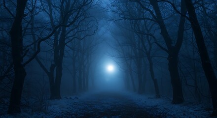 Obraz premium Eerie forest path shrouded in fog, illuminated by a distant, bright light, creating a mysterious and atmospheric scene.